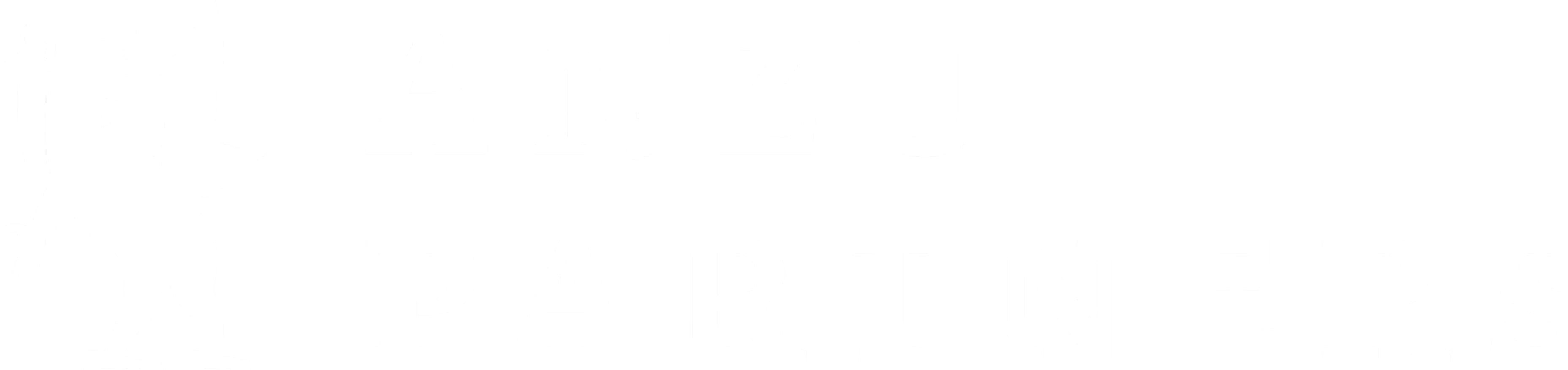 Anzu Partners Logo